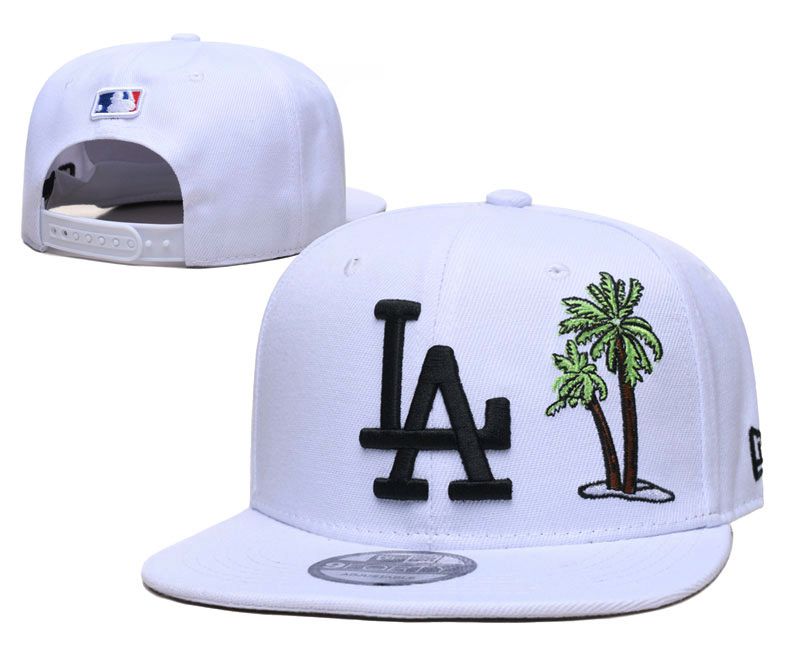 2023 MLB Los Angeles Dodgers Hat TX 202306265